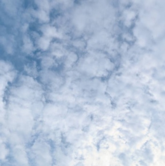 Meet your Posher, Alexander - Picture 1 of 1